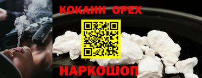 гашик Можга