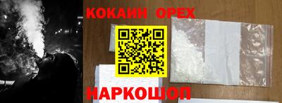 гашик Можга