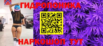 jwh Моздок